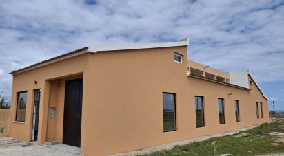 Boutique/Local commercial à Ferrel de 216 m²