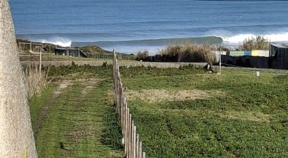 Boutique/Local commercial à Ferrel de 216 m²