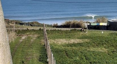 Boutique/Local commercial à Ferrel de 216 m²