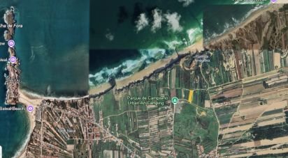 Boutique/Local commercial à Ferrel de 216 m²