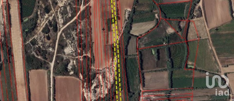 Land in Ferrel of 3,440 m²