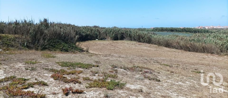 Land in Ferrel of 3,440 m²