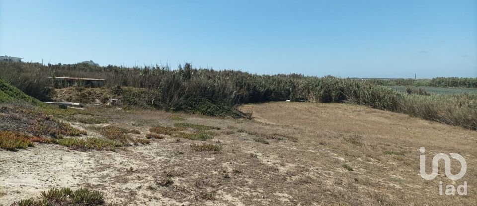 Land in Ferrel of 3,440 m²