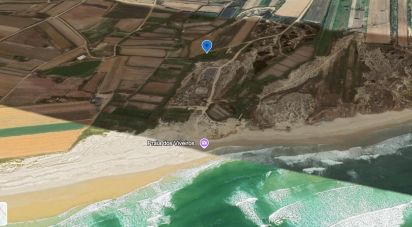 Terrain à Ferrel de 3 440 m²