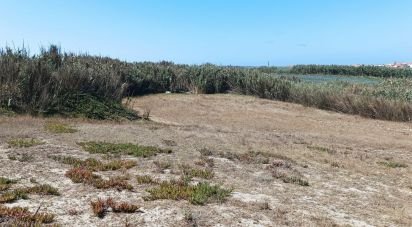 Terrain à Ferrel de 3 440 m²