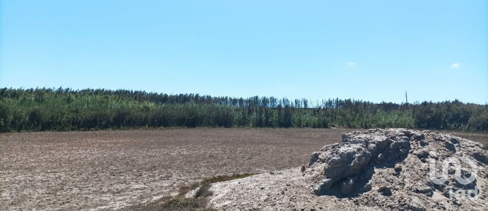 Land in Ferrel of 3,440 m²