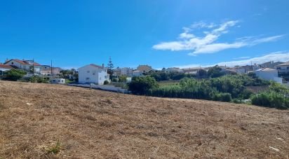 Ferme T4 à Encarnação de 189 m²