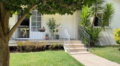 House T5 in Palme of 250 m²