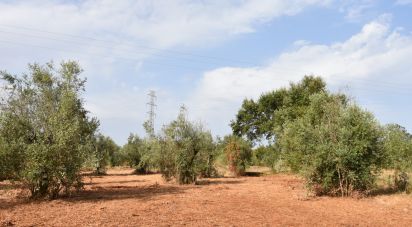 Terrain à Areias e Pias de 1 040 m²