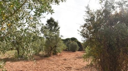 Terrain à Areias e Pias de 1 040 m²