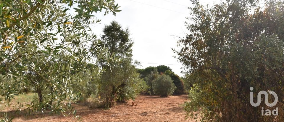 Terreno em Areias e Pias de 1 040 m²