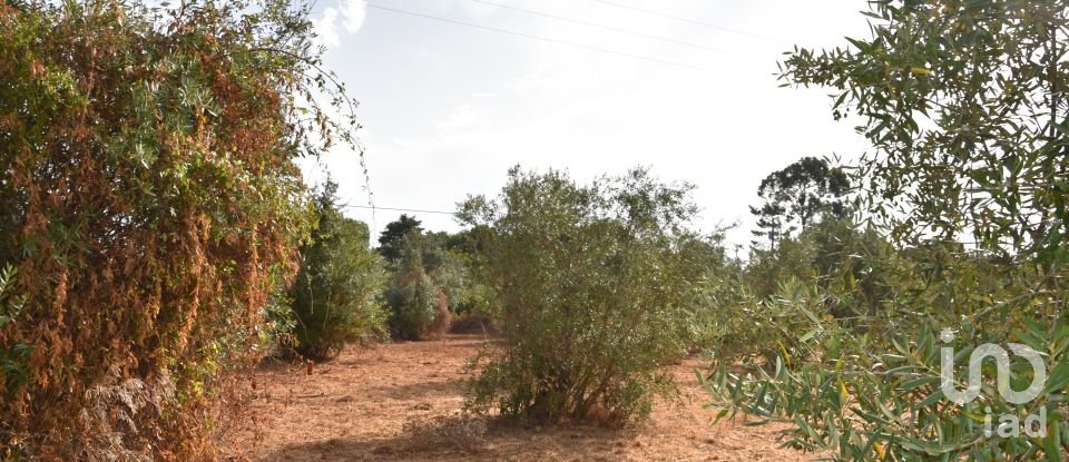 Terreno em Areias e Pias de 1 040 m²