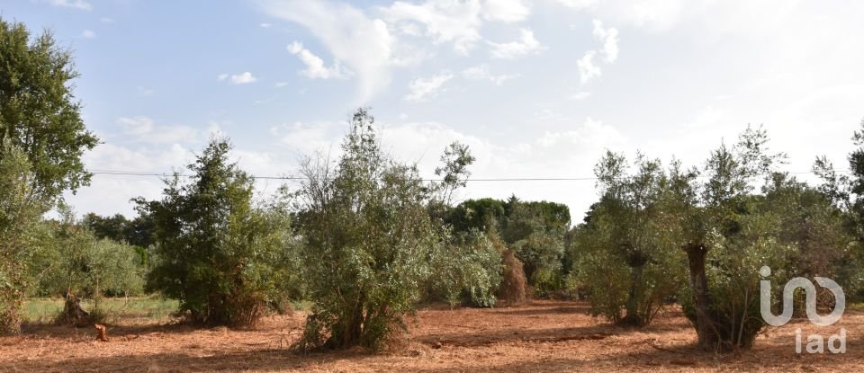 Terreno em Areias e Pias de 1 040 m²