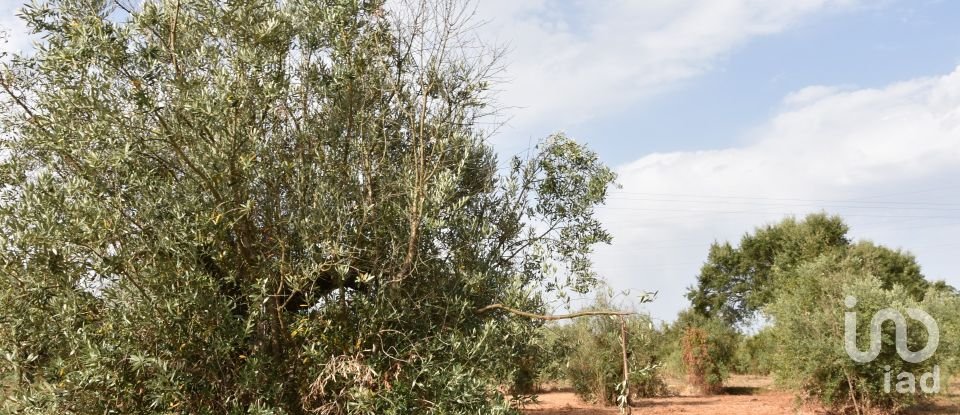 Terreno em Areias e Pias de 1 040 m²
