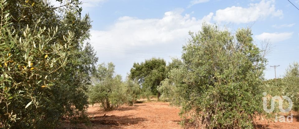 Terreno em Areias e Pias de 1 040 m²