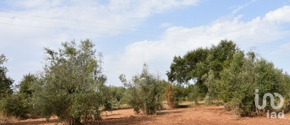 Terreno em Areias e Pias de 1 040 m²