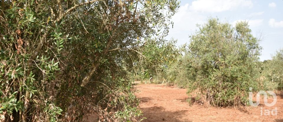 Terreno em Areias e Pias de 1 040 m²