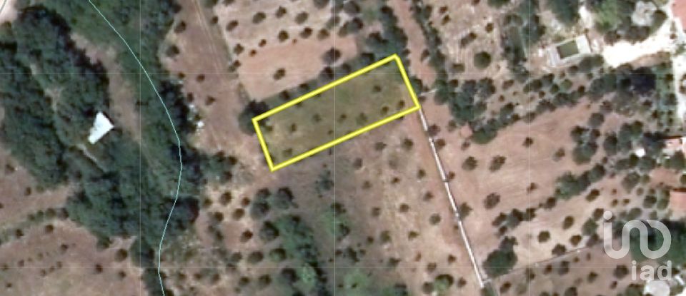 Terreno em Areias e Pias de 1 040 m²