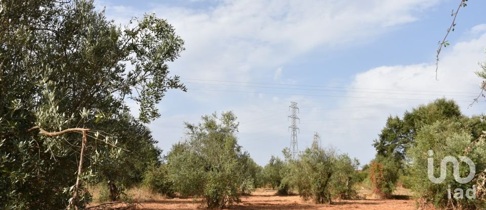 Terreno em Areias e Pias de 1 040 m²