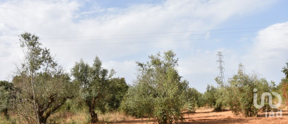 Terreno em Areias e Pias de 1 040 m²