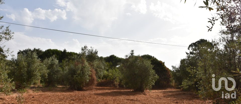 Terreno em Areias e Pias de 1 040 m²