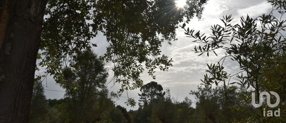 Terreno em Areias e Pias de 1 040 m²