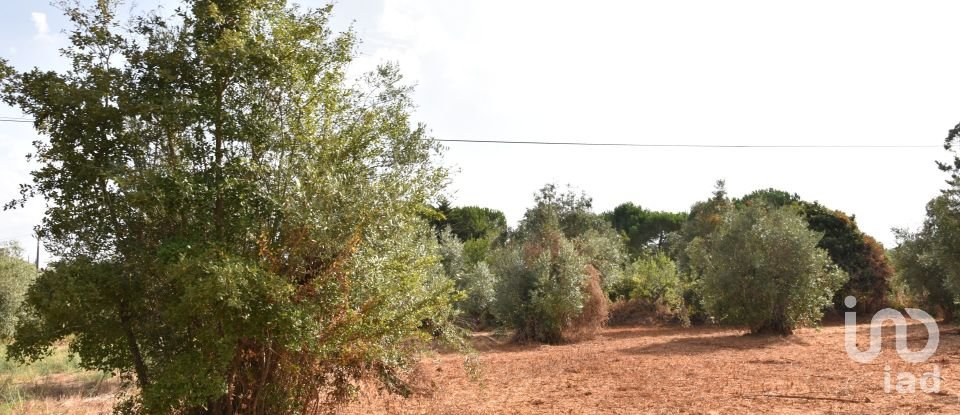 Terreno em Areias e Pias de 1 040 m²