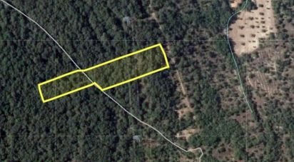 Terrain à Areias e Pias de 5 240 m²