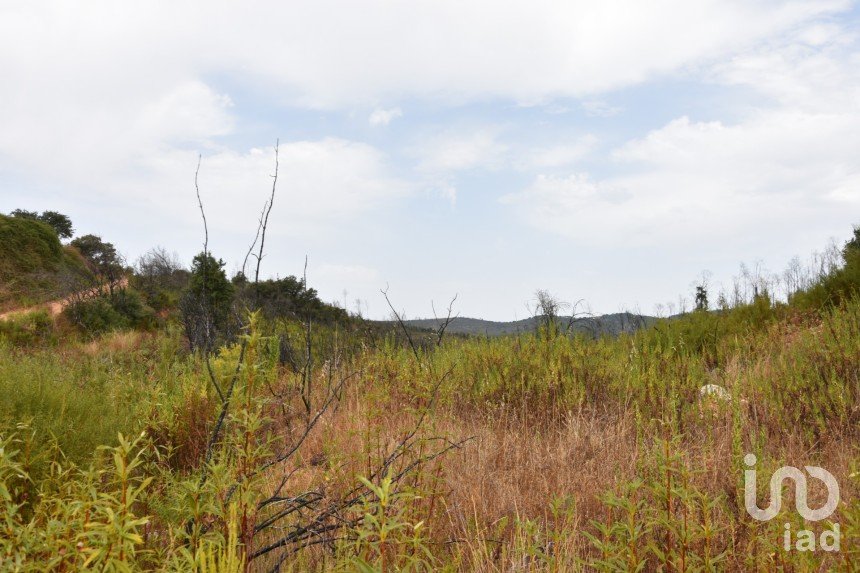Terreno em Areias e Pias de 3 240 m²