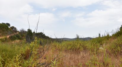 Terrain à Areias e Pias de 3 240 m²