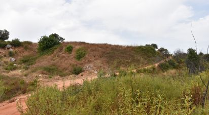 Terrain à Areias e Pias de 3 240 m²