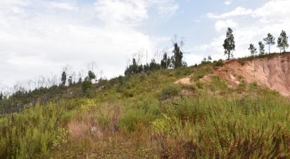 Terrain à Areias e Pias de 3 240 m²