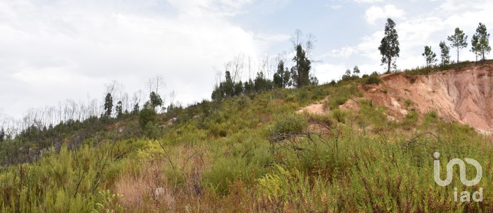 Terreno em Areias e Pias de 3 240 m²