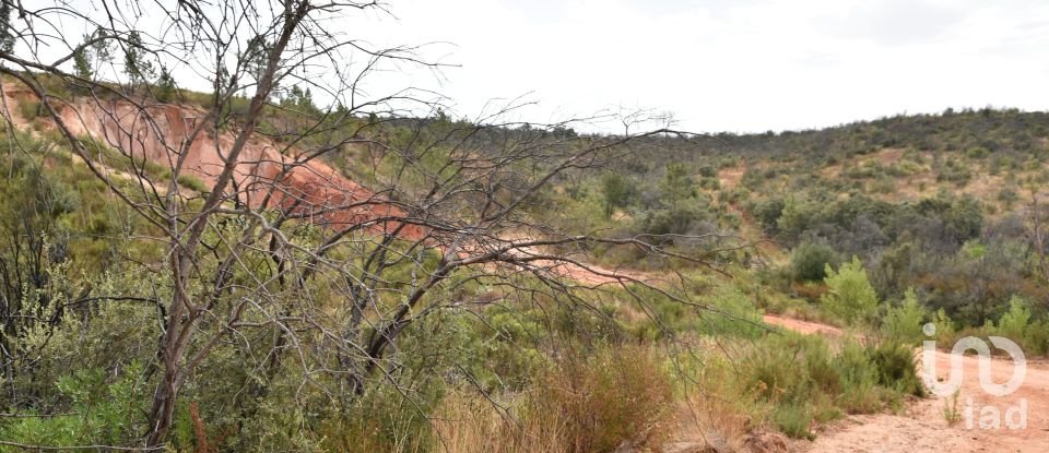 Terreno em Areias e Pias de 3 240 m²