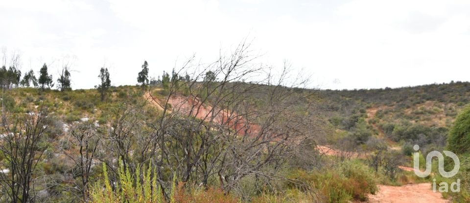 Terreno em Areias e Pias de 3 240 m²