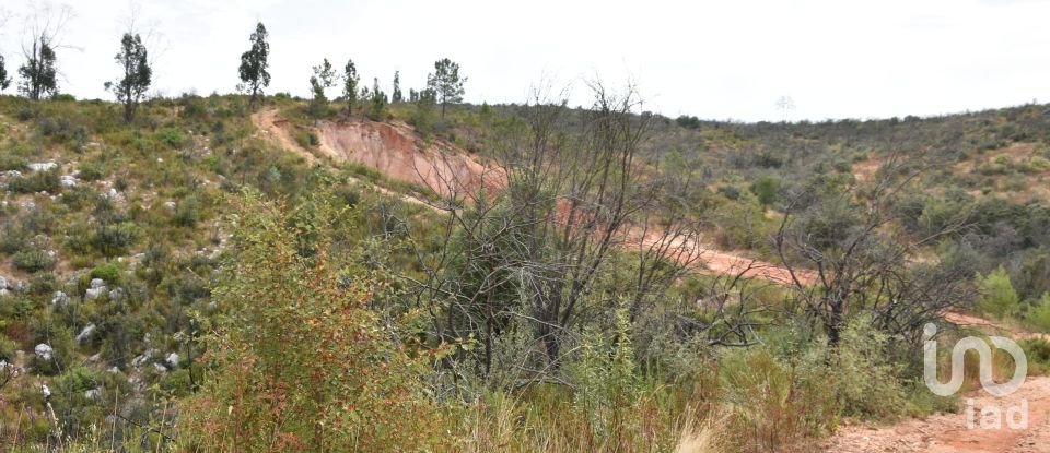 Terreno em Areias e Pias de 3 240 m²