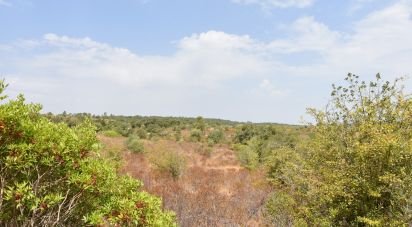 Terrain à Areias e Pias de 1 600 m²