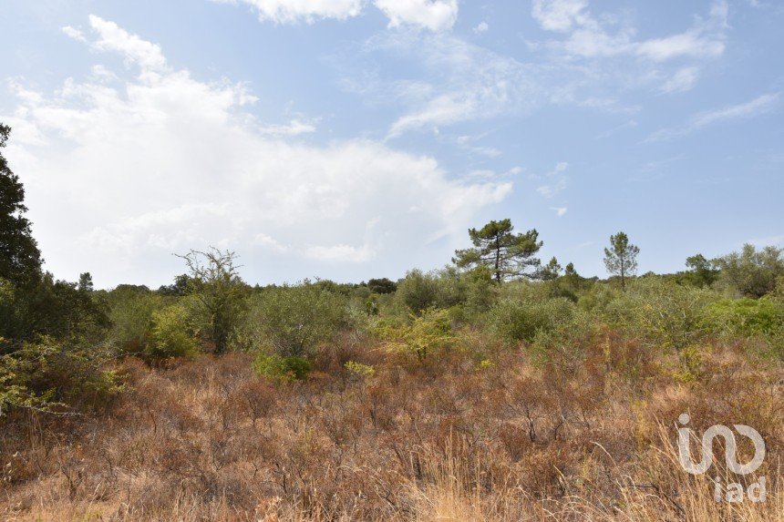 Terrain à Areias e Pias de 1 600 m²