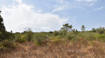 Terrain à Areias e Pias de 1 600 m²