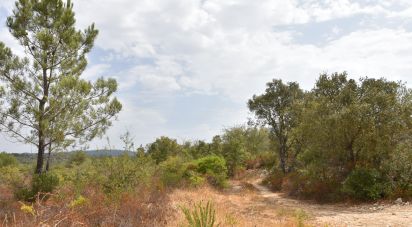 Terrain à Areias e Pias de 1 600 m²