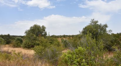 Terrain à Areias e Pias de 1 600 m²