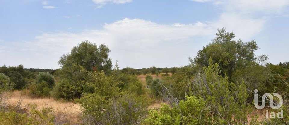 Terrain à Areias e Pias de 1 600 m²