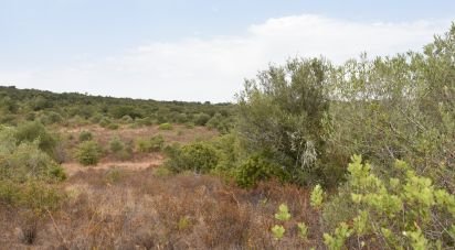 Terrain à Areias e Pias de 1 600 m²