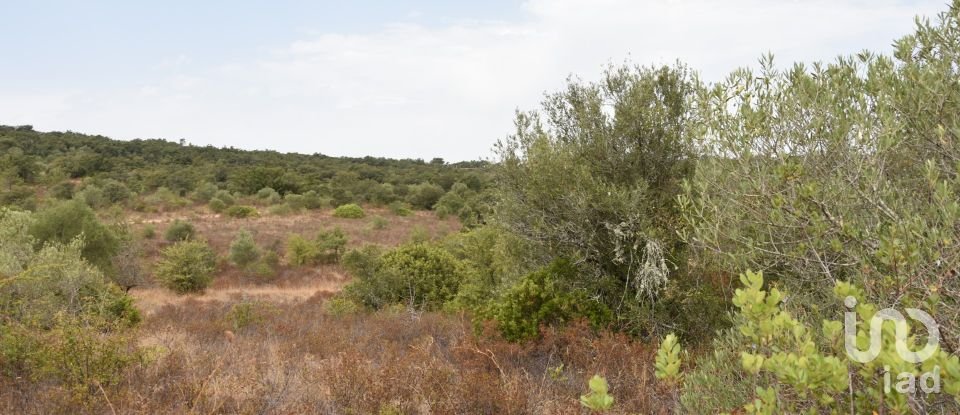 Terrain à Areias e Pias de 1 600 m²