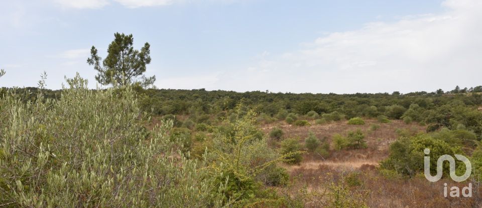 Terrain à Areias e Pias de 1 600 m²