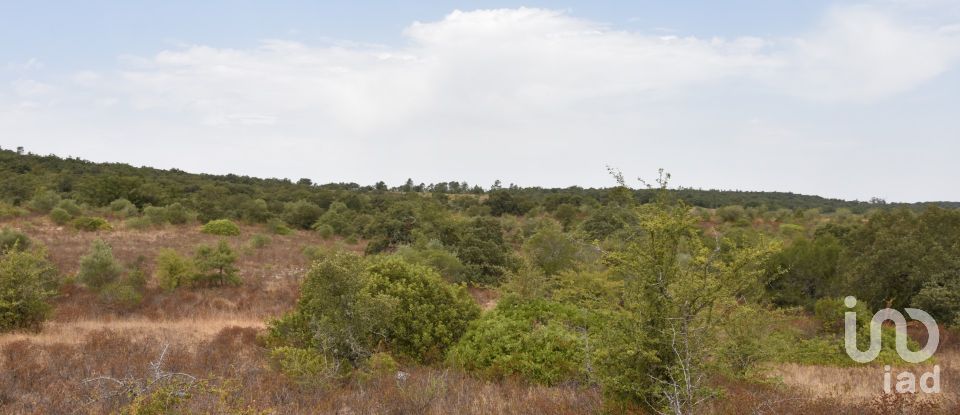 Terrain à Areias e Pias de 1 600 m²