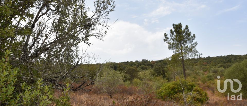 Terrain à Areias e Pias de 1 600 m²