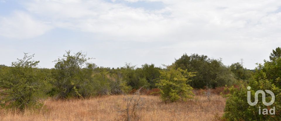 Terrain à Areias e Pias de 1 600 m²