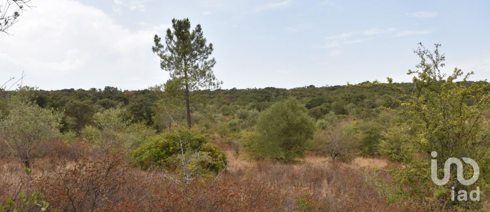 Terrain à Areias e Pias de 1 600 m²