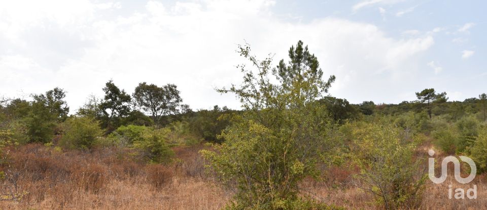 Terrain à Areias e Pias de 1 600 m²